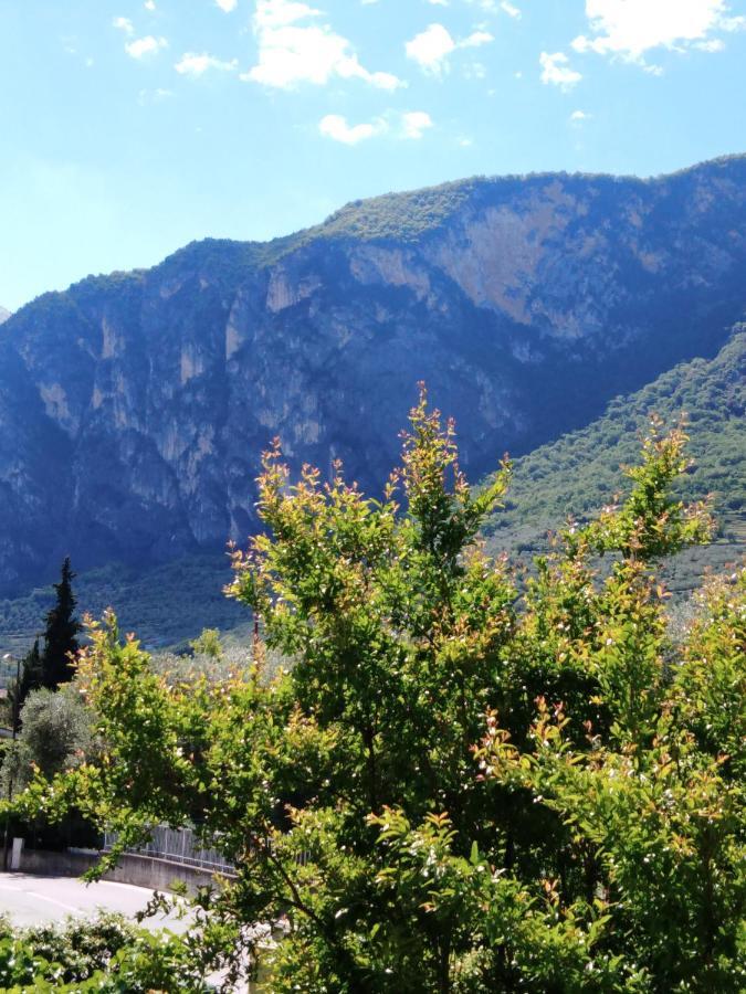 Casa Akira Appartement Riva del Garda Buitenkant foto